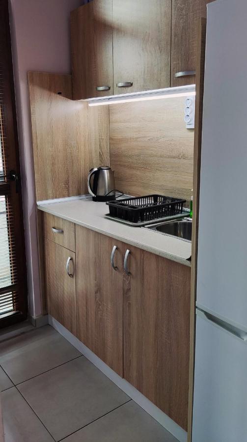 Liliya Apartment 플레벤 외부 사진